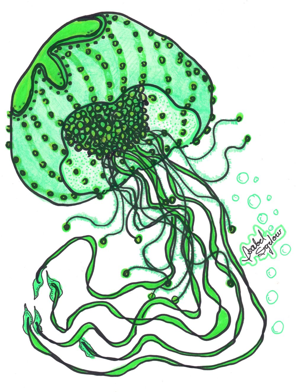 Jelly Fish Floating Sea Green
