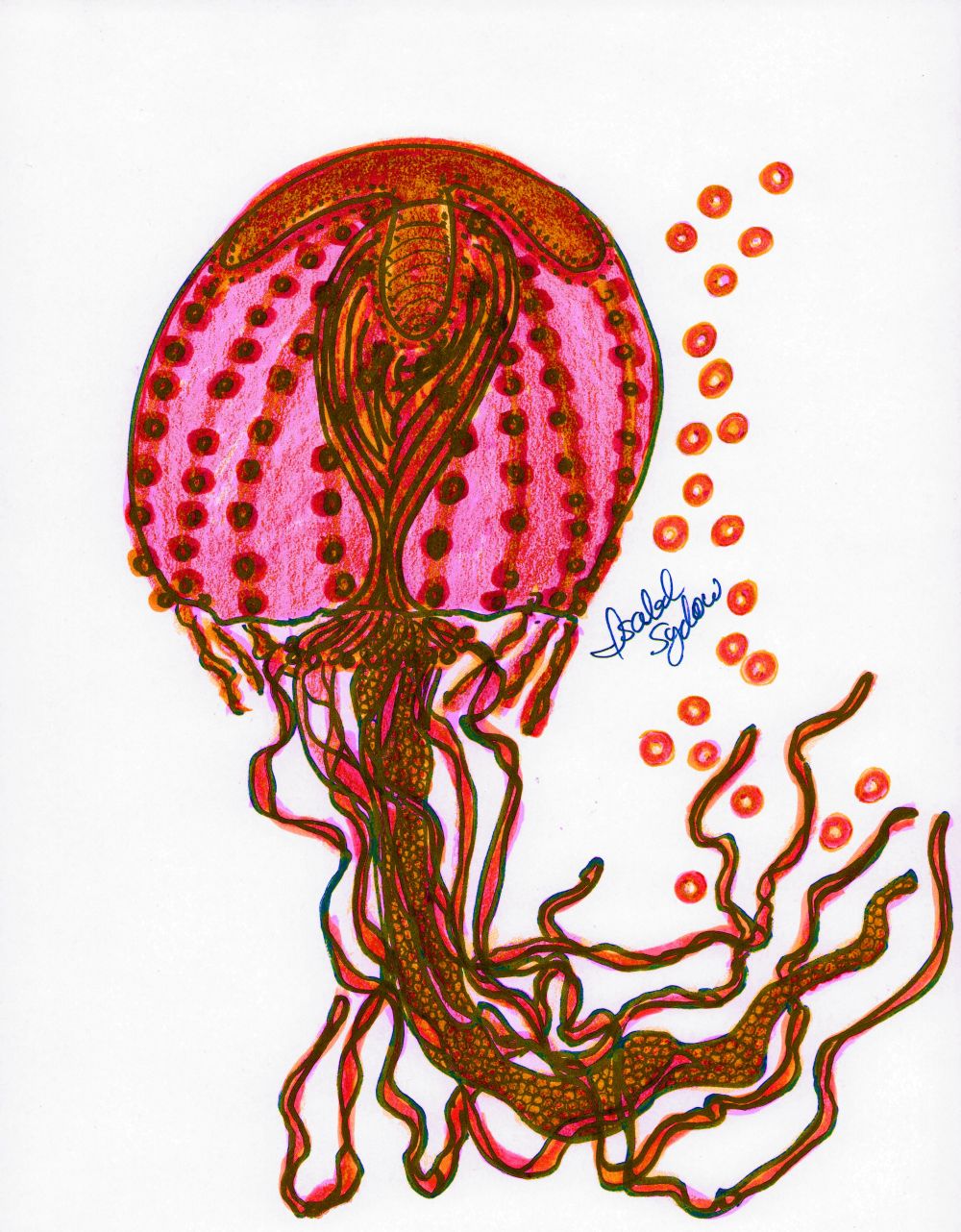 Jelly Fish Deep Red