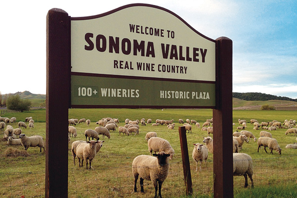 Entrance to the wine country section of Sonoma Valley is depicted with a sign in St. Francis vineyard located in Kennwod. Sign reads "Welcome to Sonoma Valley eal Wine Country, 100 plus wineries and historic plaza"
